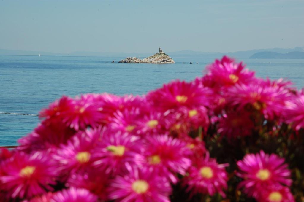 Hotel Villa Ombrosa Portoferraio Camera foto